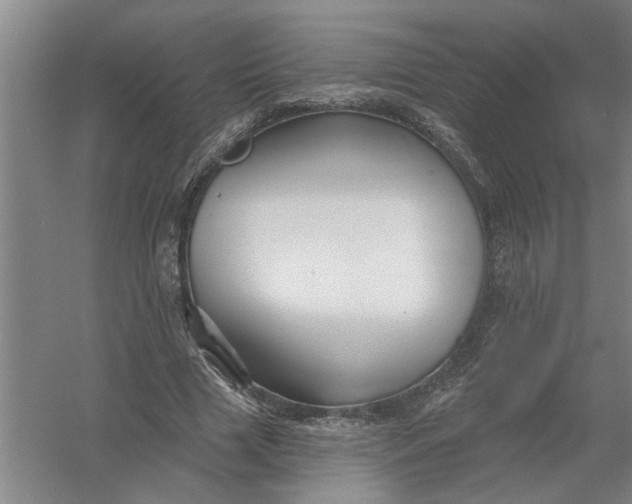 X0000054420633200508192058