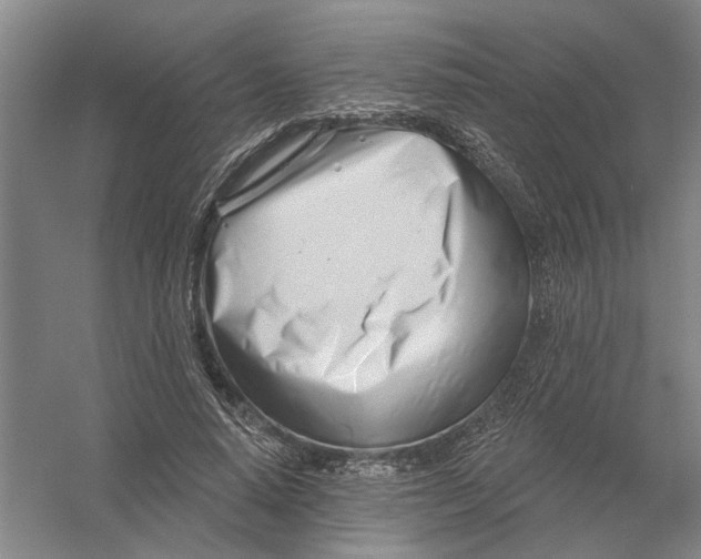X0000054420640200508192058