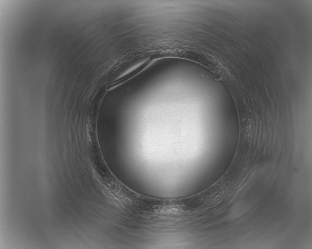 X0000054420643200508192058