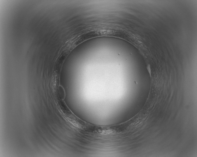 X0000054420645200508192058