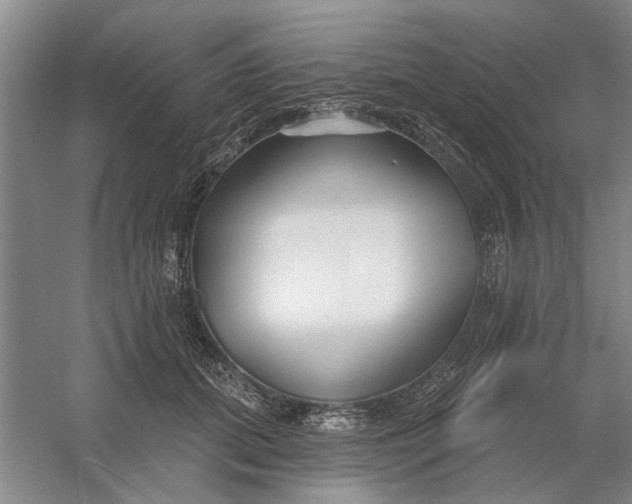 X0000054420655200508192058