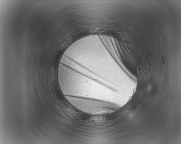 X0000054420659200508192059