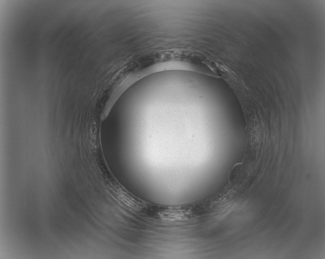 X0000054420661200508192059