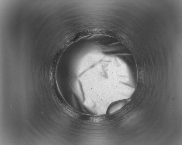 X0000054420662200508192059