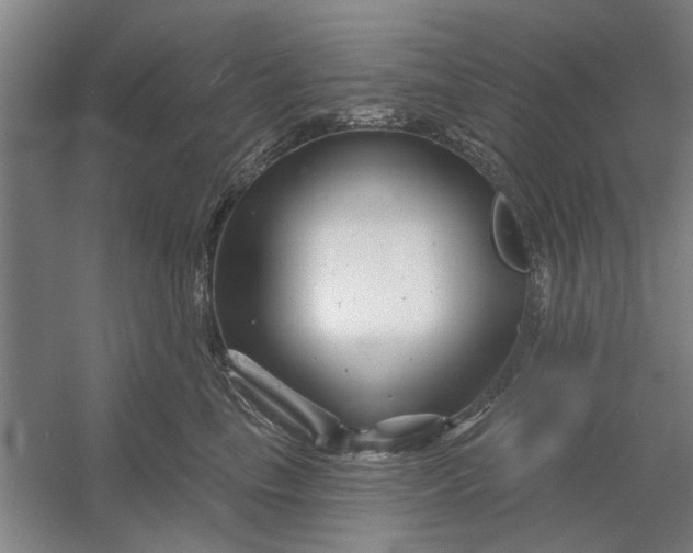 X0000054420665200508192059