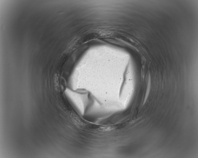 X0000054420667200508192059