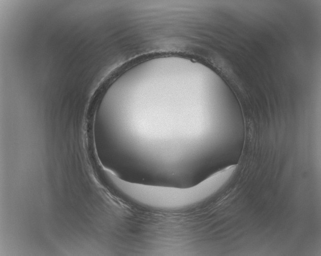X0000054420676200508192058