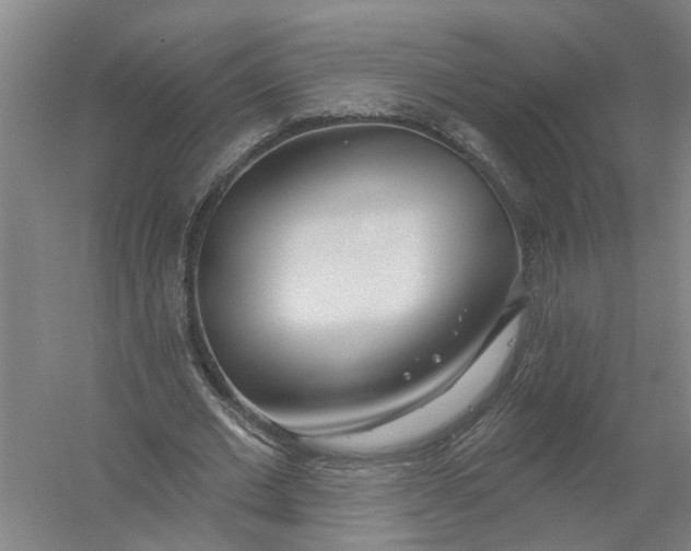 X0000054420677200508192058