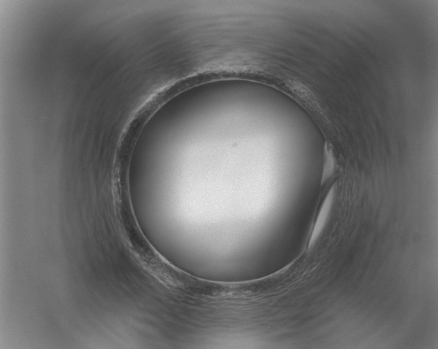 X0000054420680200508192058