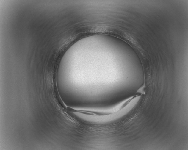 X0000054420681200508192058