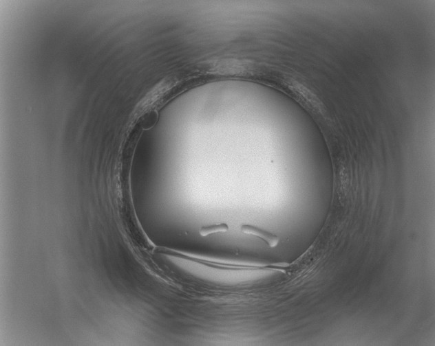 X0000054420682200508192058