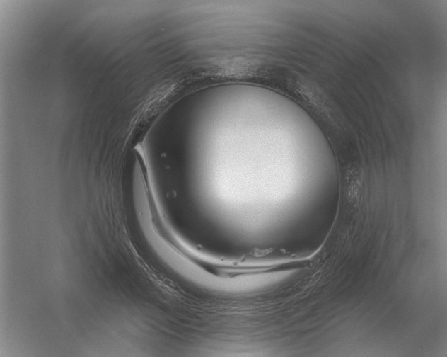 X0000054420685200508192058
