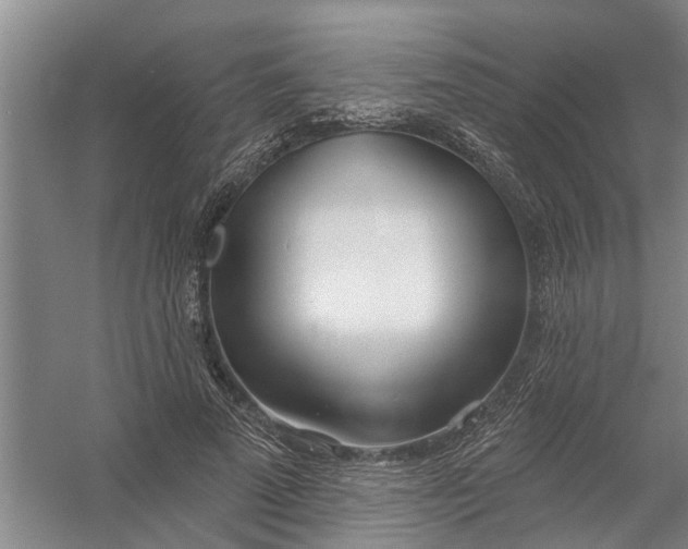 X0000054420689200508192058