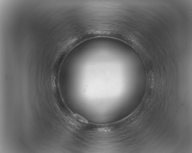 X0000054420692200508192058