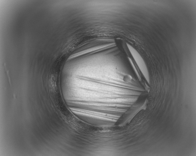 X0000054420695200508192058
