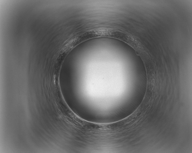 X0000054420696200508192058