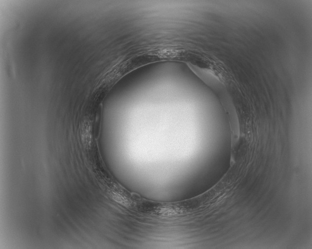 X0000054420697200508192058