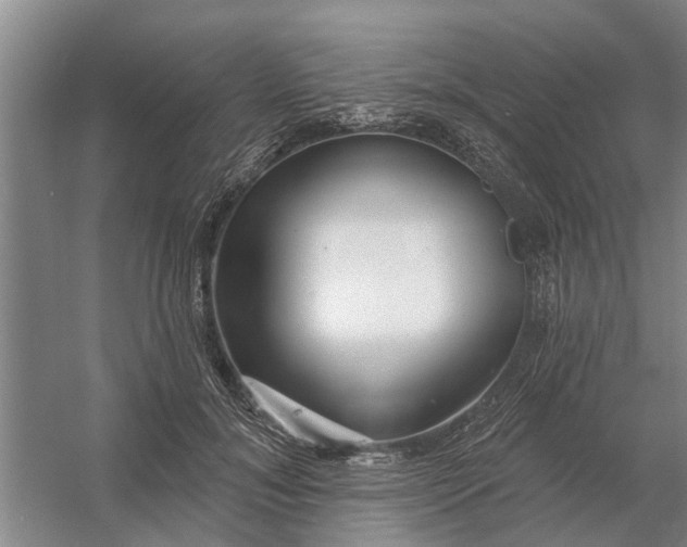 X0000054420700200508192057