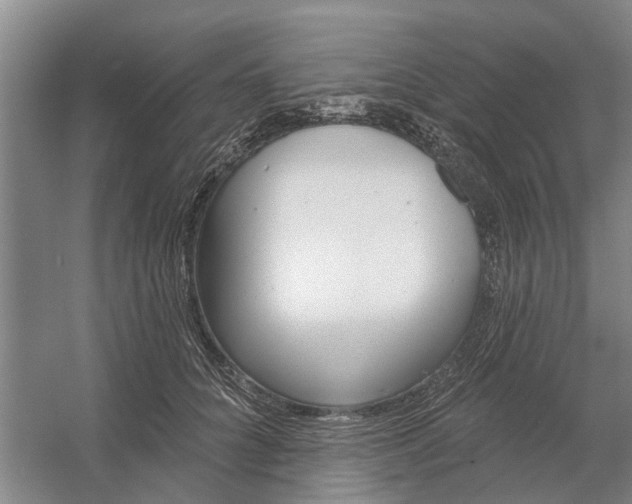 X0000054420704200508192057
