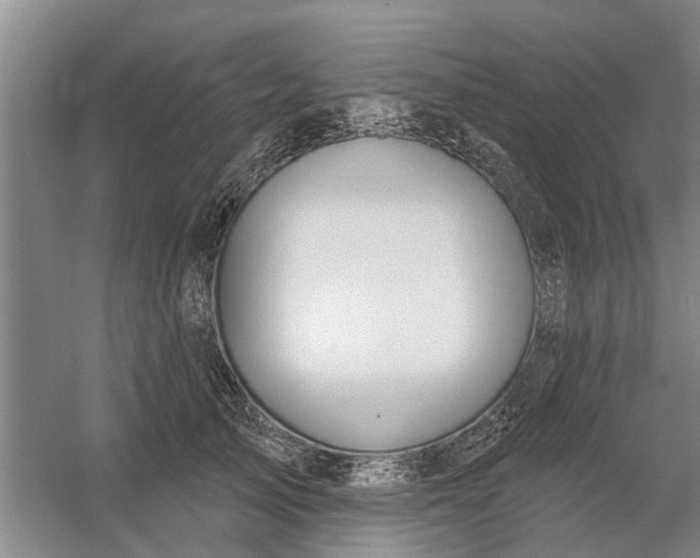 X0000054420705200508192057