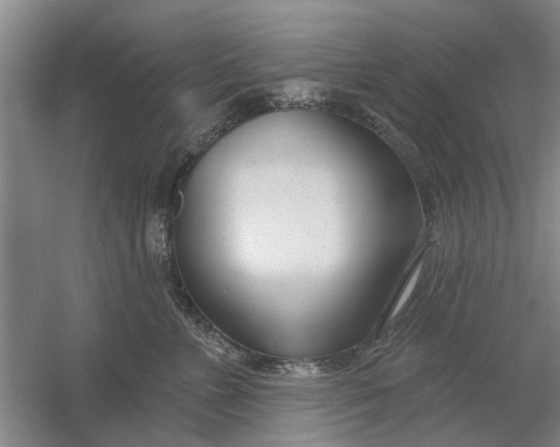 X0000054420715200508192057