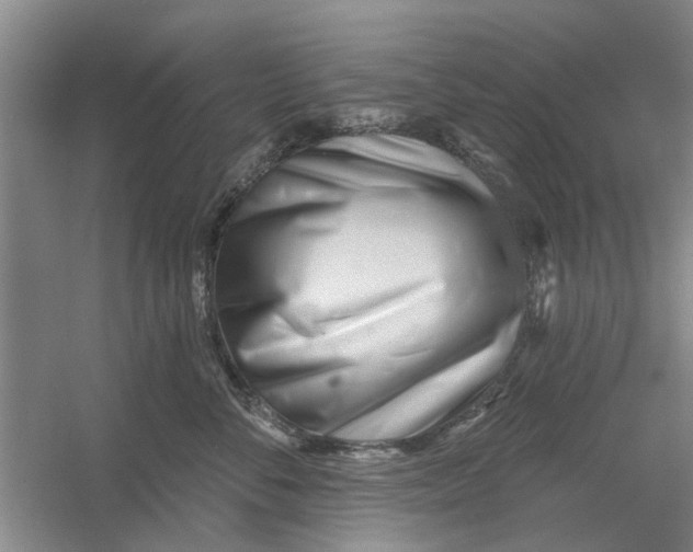 X0000054420716200508192057