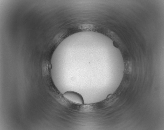X0000054420717200508192057