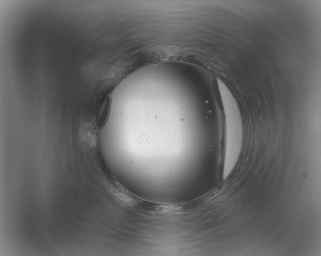 X0000054420719200508192057
