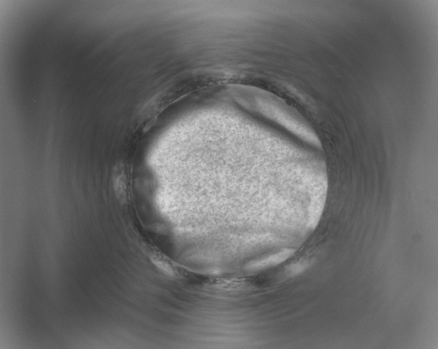 X0000054420720200508192057
