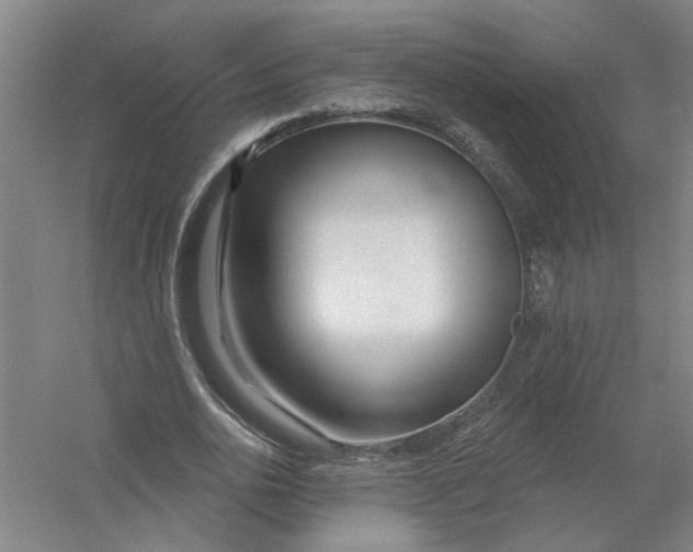 X0000054420726200508192056