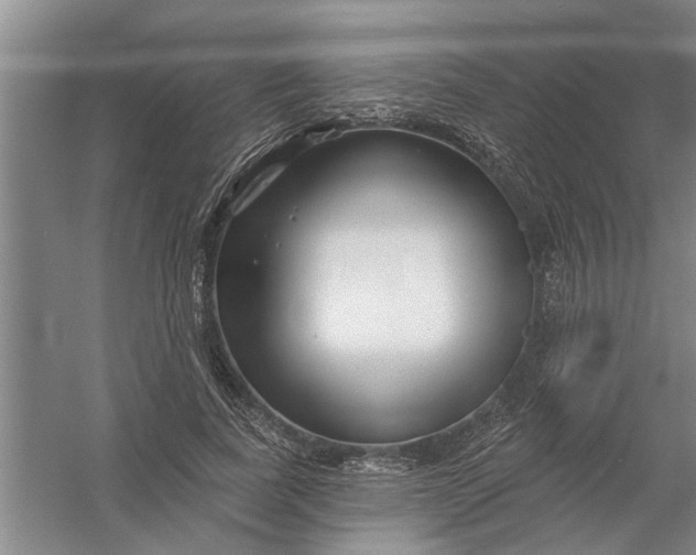 X0000054420739200508192057