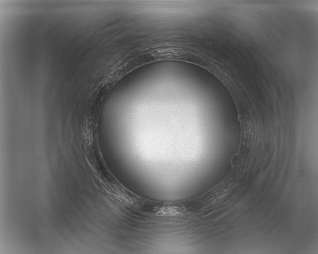 X0000054420751200508192057