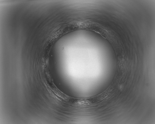 X0000054420752200508192057