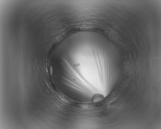 X0000054420755200508192057