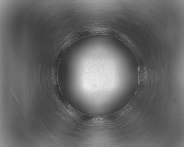 X0000054420764200508192057