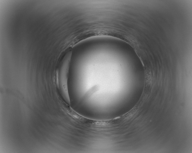 X0000054420766200508192057