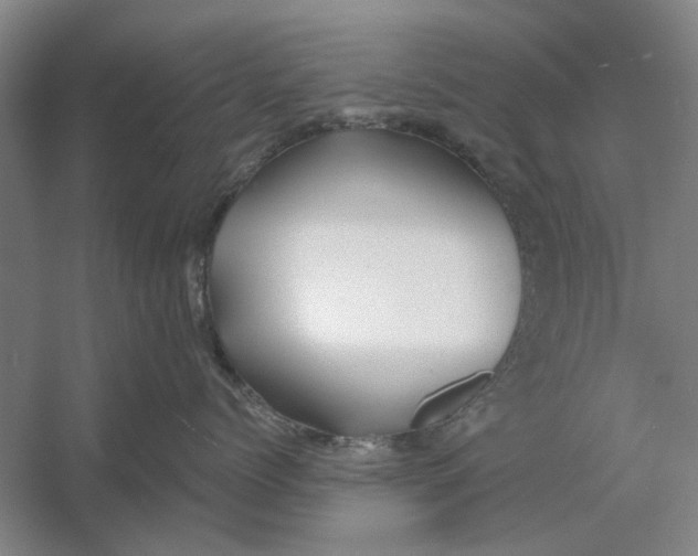 X0000054420768200508192057