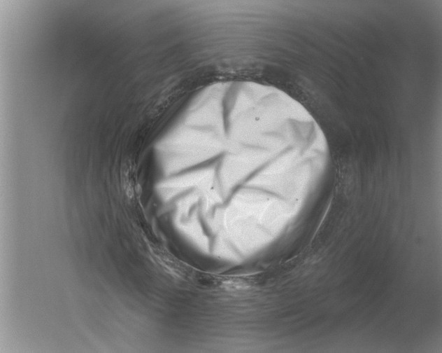 X0000054420770200508192056