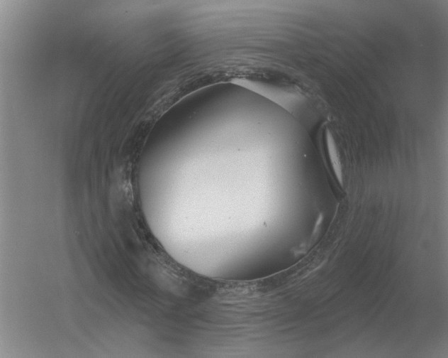 X0000054420771200508192056