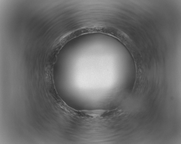 X0000054420773200508192056