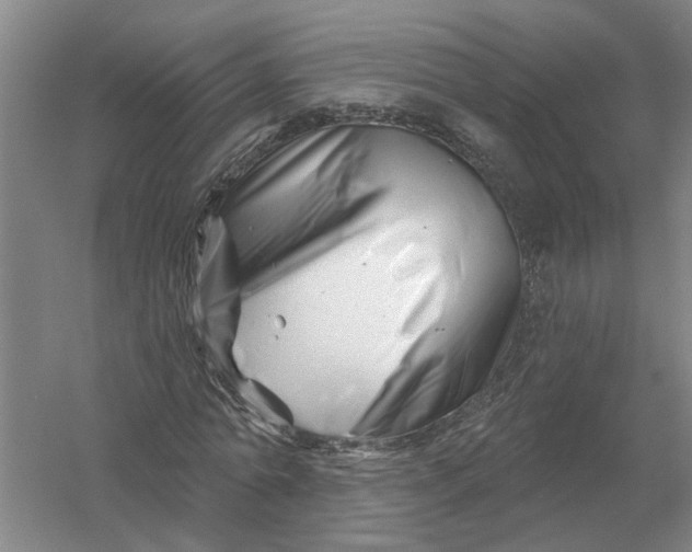 X0000054420774200508192056