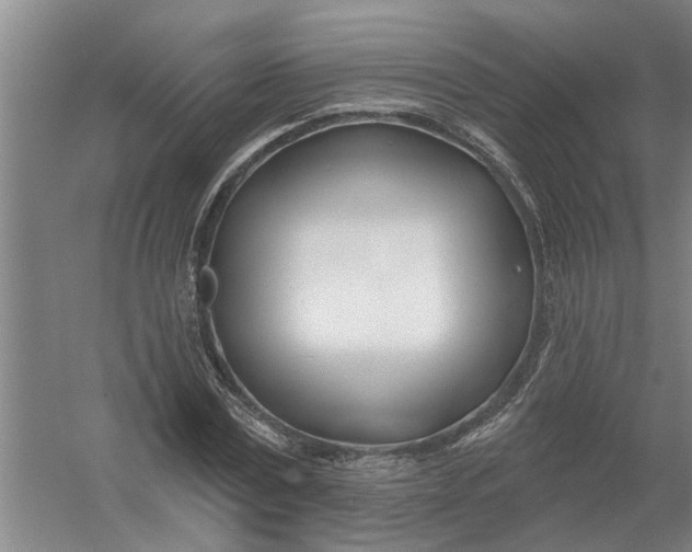 X0000054420779200508192056