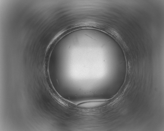 X0000054420780200508192056