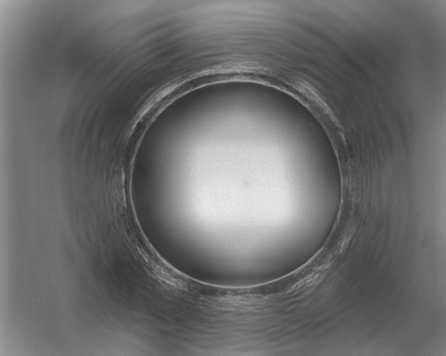 X0000054420781200508192056