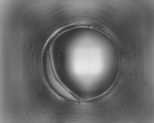 X0000054420784200508192056