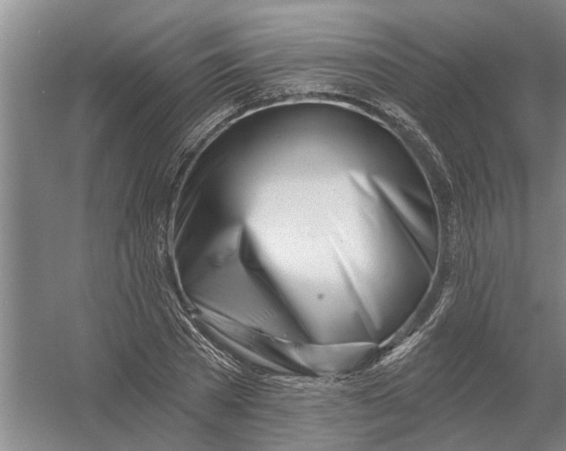 X0000054420785200508192056