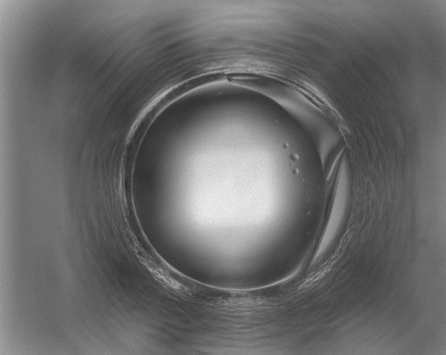 X0000054420788200508192056