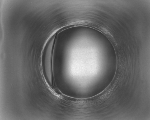 X0000054420792200508192056