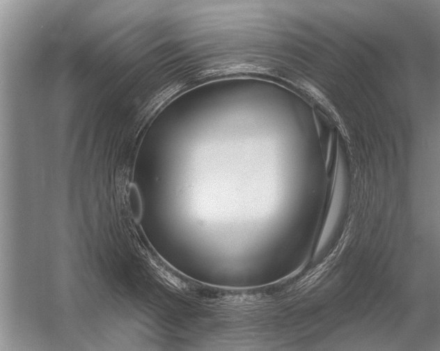 X0000054420793200508192056