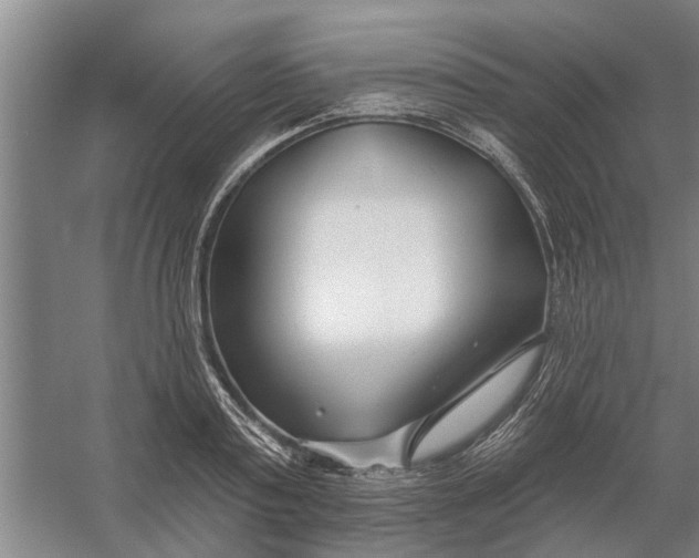 X0000054420795200508192056